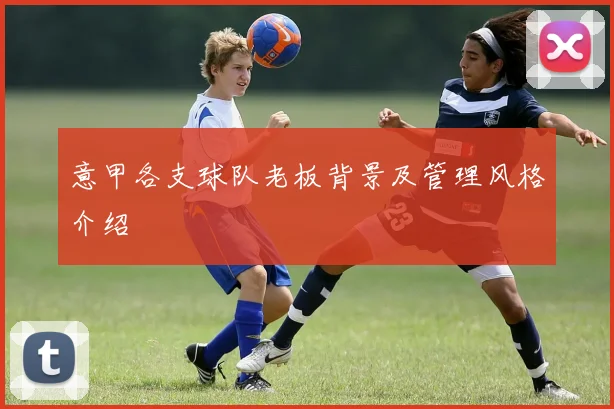 意甲各支球队老板背景及管理风格介绍