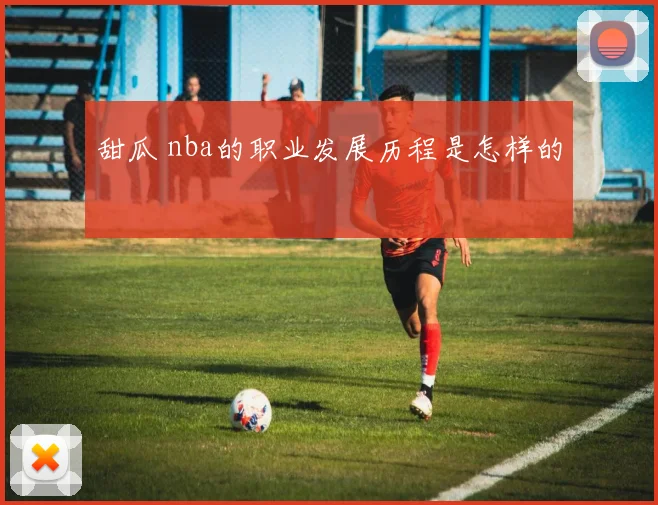 甜瓜 nba的职业发展历程是怎样的
