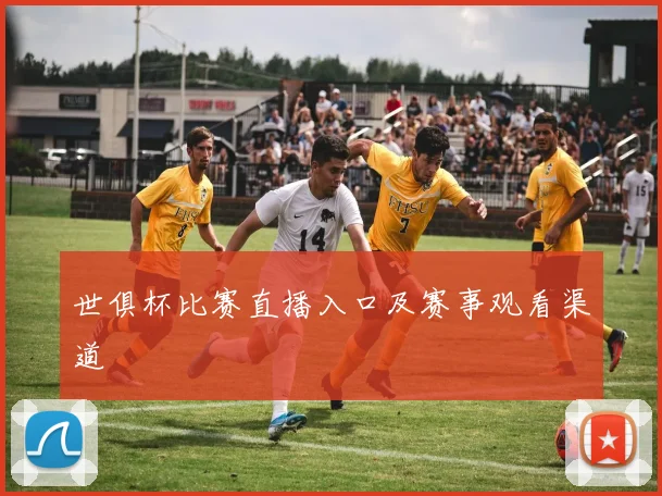 世俱杯比赛直播入口及赛事观看渠道