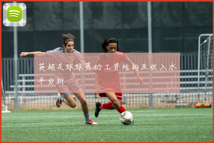 英超足球球员的工资结构及收入水平分析