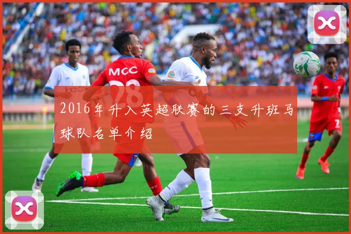 2016年升入英超联赛的三支升班马球队名单介绍